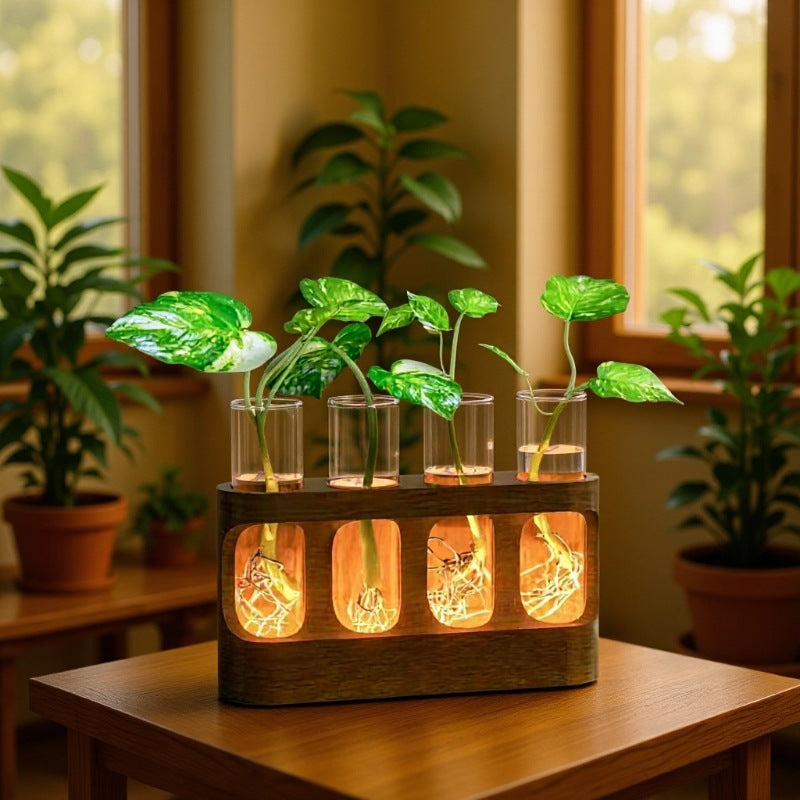 Vaso in Legno con Provetta in Vetro | Propagation Station Decorativa per Piante e Candele