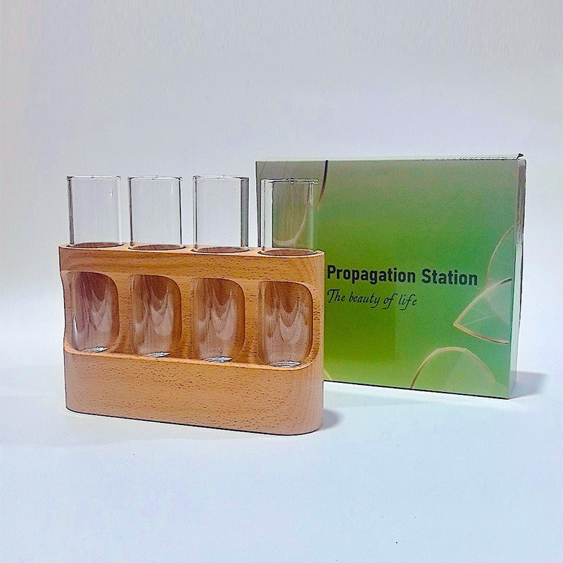 Vaso in Legno con Provetta in Vetro | Propagation Station Decorativa per Piante e Candele